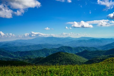 Hike To Roan Mountain, Then Reward Yourself With A Pizza From Smoky Mountain Bakers In Tennessee