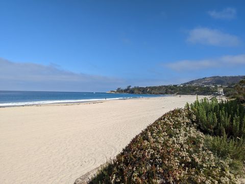 Follow A Sandy Path To The Waterfront When You Visit Salt Creek Beach In Southern California