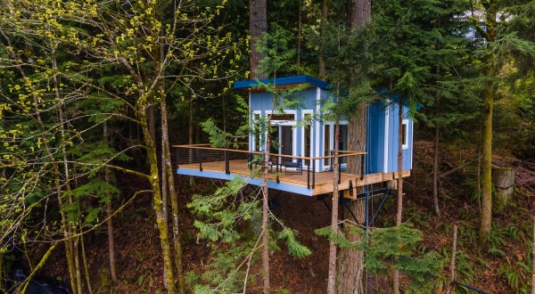 3 Little-Known Treehouses Hiding In Washington That Will Bring Out Your Sense Of Adventure