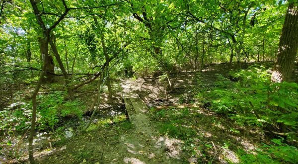 Ogle Magnificent Trees And Feel Miles Away From Your Troubles On This Fairy Tale Trail In Kansas