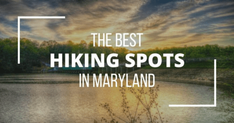 38 Best Hikes in Maryland: The Top-Rated Hiking Trails to Visit in 2024