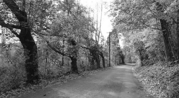 Driving Down This Haunted Pennsylvania Road Will Give You Nightmares