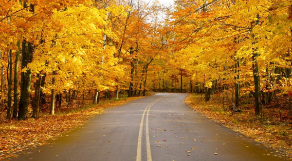 The 10 Best Scenic Drives For Viewing Wisconsin Fall Colors
