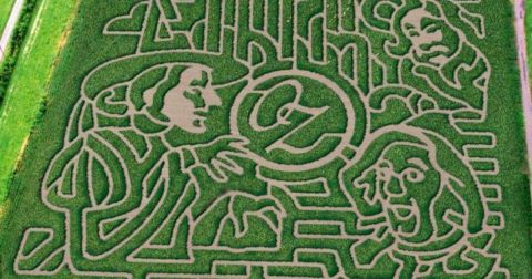 Get Lost In These 8 Awesome Corn Mazes Around Buffalo This Fall