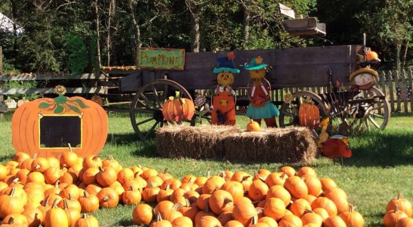 Get Lost In These 3 Awesome Corn Mazes Around New Orleans This Fall