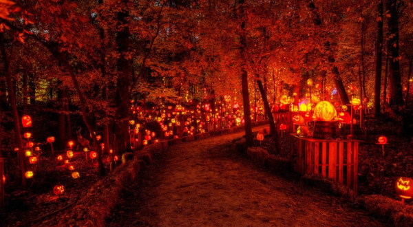 The Louisville Jack O’Lantern Spectacular Is A Glowing Pumpkin Trail Coming To Kentucky And It’ll Make Your Fall Magical