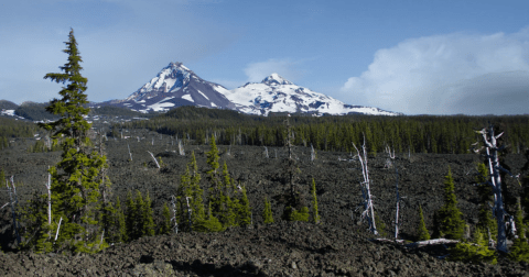 Take A Paved Loop Trail Around This Oregon Lava Forest For A Peaceful Adventure