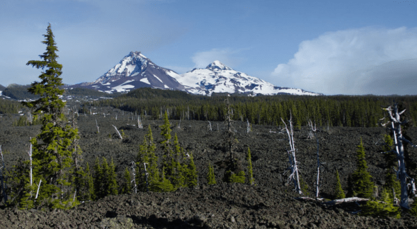 Take A Paved Loop Trail Around This Oregon Lava Forest For A Peaceful Adventure