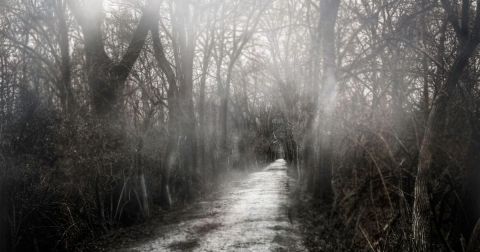 Potato Creek State Park Might Just Be The Most Haunted Park In Indiana