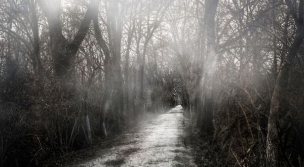 Potato Creek State Park Might Just Be The Most Haunted Park In Indiana