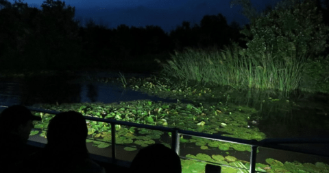 Few People Know The Story Behind Louisiana's Most Haunted Swamp