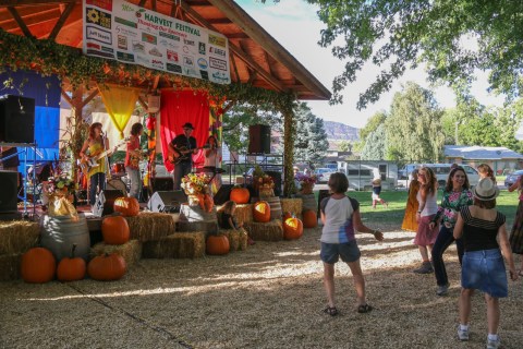 If There's One Fall Festival You Attend In Colorado, Make It The Mountain Harvest Festival