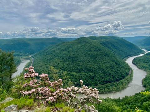 3 West Virginia Nature Centers That Make Excellent Family Day Trip Destinations