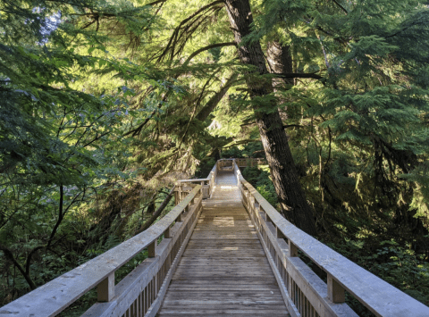 Take A Boardwalk Trail Through The Coastline Of Rockaway Beach In Oregon
