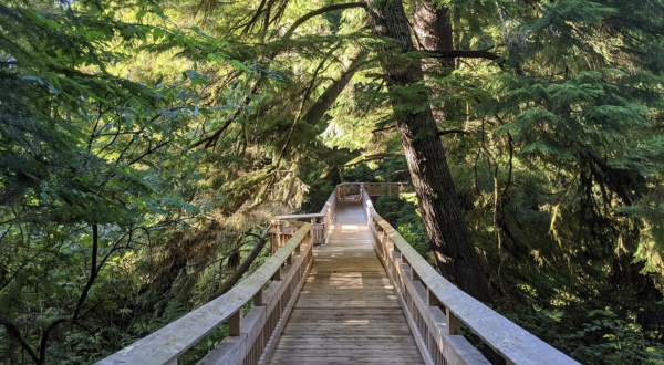 Take A Boardwalk Trail Through The Coastline Of Rockaway Beach In Oregon