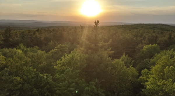 With Only 51 Campsites, The D.A.R. State Forest In Massachusetts Offers A Remote Forest Escape
