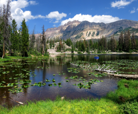 With Only 20 Campsites, The Butterfly Lake Campground In Utah Offers A Remote Forest Escape