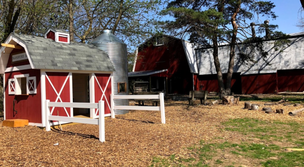 The One-Of-A-Kind Nature Center In Michigan That’s Like A Mini Zoo
