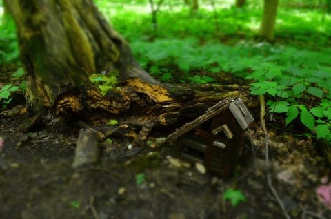 Traipse Past Woodland Fairy Houses And Beneath Tree Canopies On This Fairy Tale Trail In Ohio