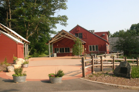 The One-Of-A-Kind Nature Center In Massachusetts That's Like A Mini Zoo