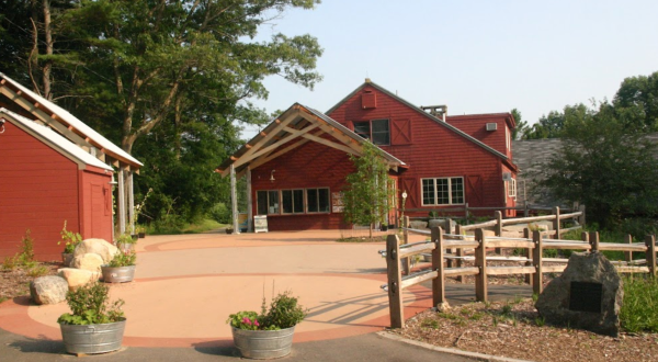 The One-Of-A-Kind Nature Center In Massachusetts That’s Like A Mini Zoo