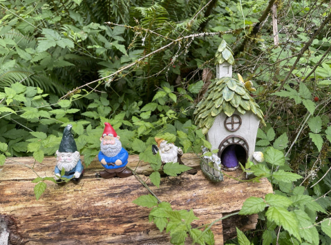 A Gnome Trail Is Hiding In Small Town Washington And It's As Weirdly Wonderful As You'd Expect