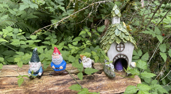 A Gnome Trail Is Hiding In Small Town Washington And It’s As Weirdly Wonderful As You’d Expect
