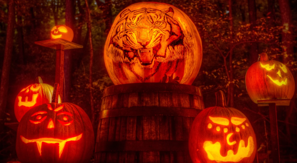Ogle Over 5,000 Jack-O-Lantern Luminaries At This Magical Fall Festival In Kentucky