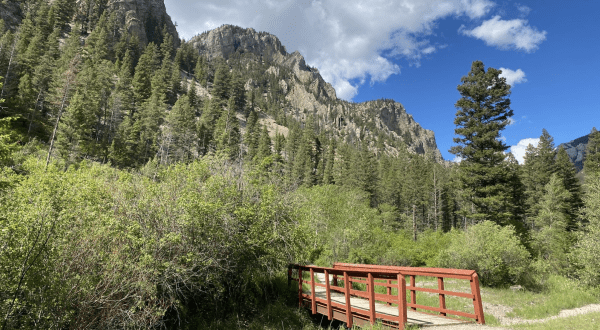 Cross A Dreamy Foot Bridge And Relax Among The Canyon Walls On This Fairy Tale Trail In Montana