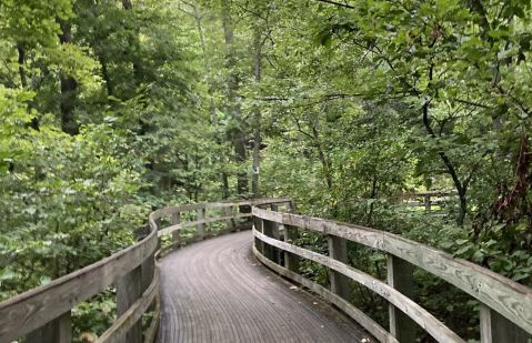 Explore A Boardwalk Trail Leading To Mountain Views On This Fairy Tale Trail In Virginia