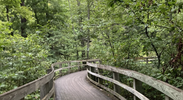 Explore A Boardwalk Trail Leading To Mountain Views On This Fairy Tale Trail In Virginia