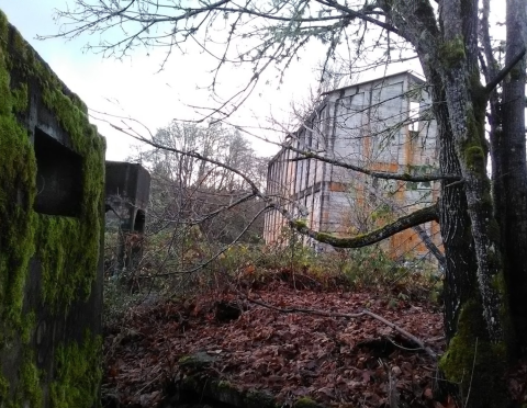 The Abandoned Old Vernonia Sawmill In Oregon Is Both Eerie And Beautiful