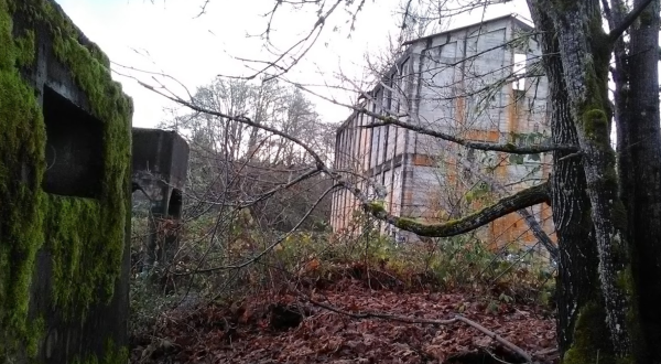 The Abandoned Old Vernonia Sawmill In Oregon Is Both Eerie And Beautiful