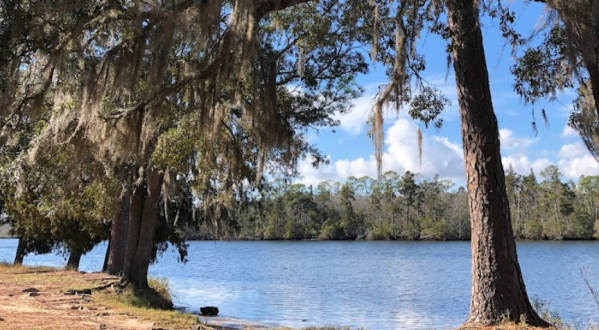 An Easy But Gorgeous Hike, Old River Trail Leads To A Little-Known River In Florida