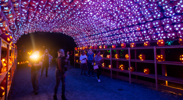 Surround Yourself With 7,000 Glowing Pumpkins When You Attend New York’s Great Jack O’Lantern Blaze