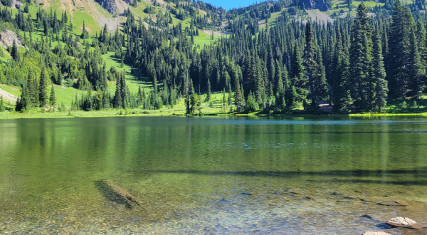 Hike Though Washington’s Sheep Lake Trail, Then Dine At Cliff Droppers