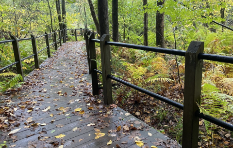 Hike Through Michigan's Pigeon Creek Park, Then Dine At Beechwood Grill