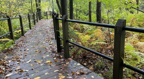 Hike Through Michigan’s Pigeon Creek Park, Then Dine At Beechwood Grill