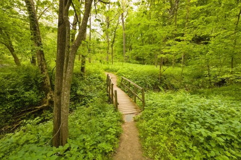 31 Epic Hiking Spots You'll Only Find In Iowa