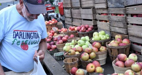 The Apple Festival In Maryland Where You'll Have Loads Of Delicious Fun