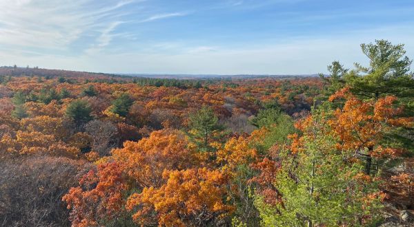 The Fall Foliage At These 7 State Parks In Massachusetts Never Fails To Enchant