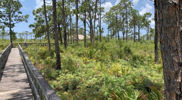Briggs Nature Center Boardwalk Trail In Florida Leads To One Of The Most Scenic Views In The State