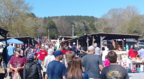 More Than A Flea Market, Collinsville Trade Day In Alabama Also Has Food, Animals, And More