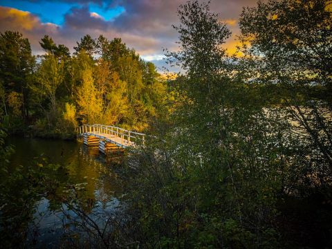 3 Scenic Hiking Trails Surround The Small Town Of Ely, Minnesota