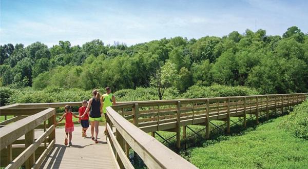 Take A Boardwalk Trail Through The Wetlands Of John James Audubon State Park In Kentucky