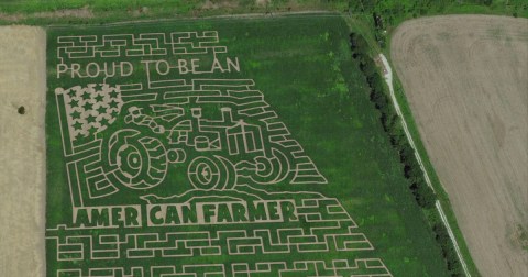 Get Lost In These 9 Awesome Corn Mazes Around Kansas City This Fall