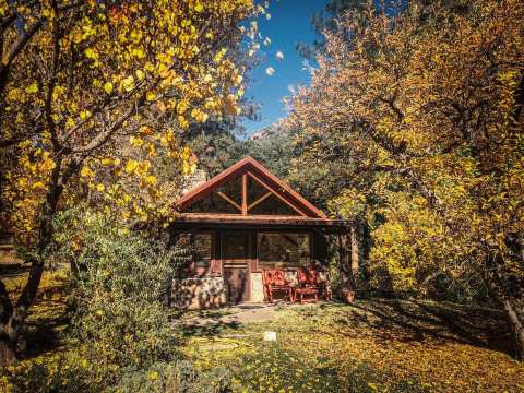 Go Apple Picking, Then Sleep In A Cabin Surrounded By Fall Foliage On This Weekend Getaway In Arizona
