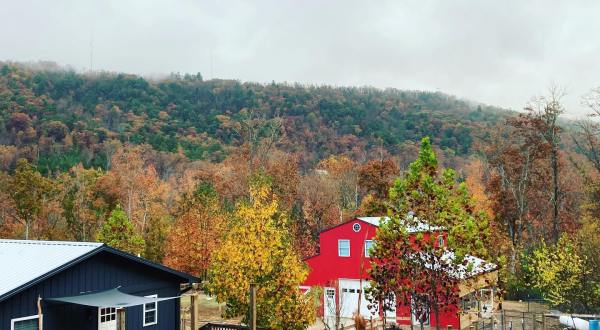 This Charming Little Farm In Arkansas Is The Perfect Place To Get Away From It All