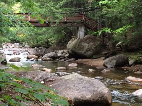 Walk Over A Bridge And Ogle Magnificent Old-Growth Trees On This Fairy Tale Trail In New Hampshire