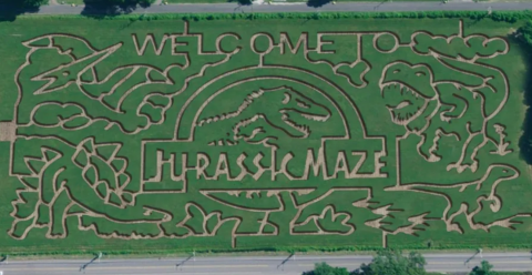 If There's One Fall Event You Attend In Maryland, Make It The Maryland Corn Maze